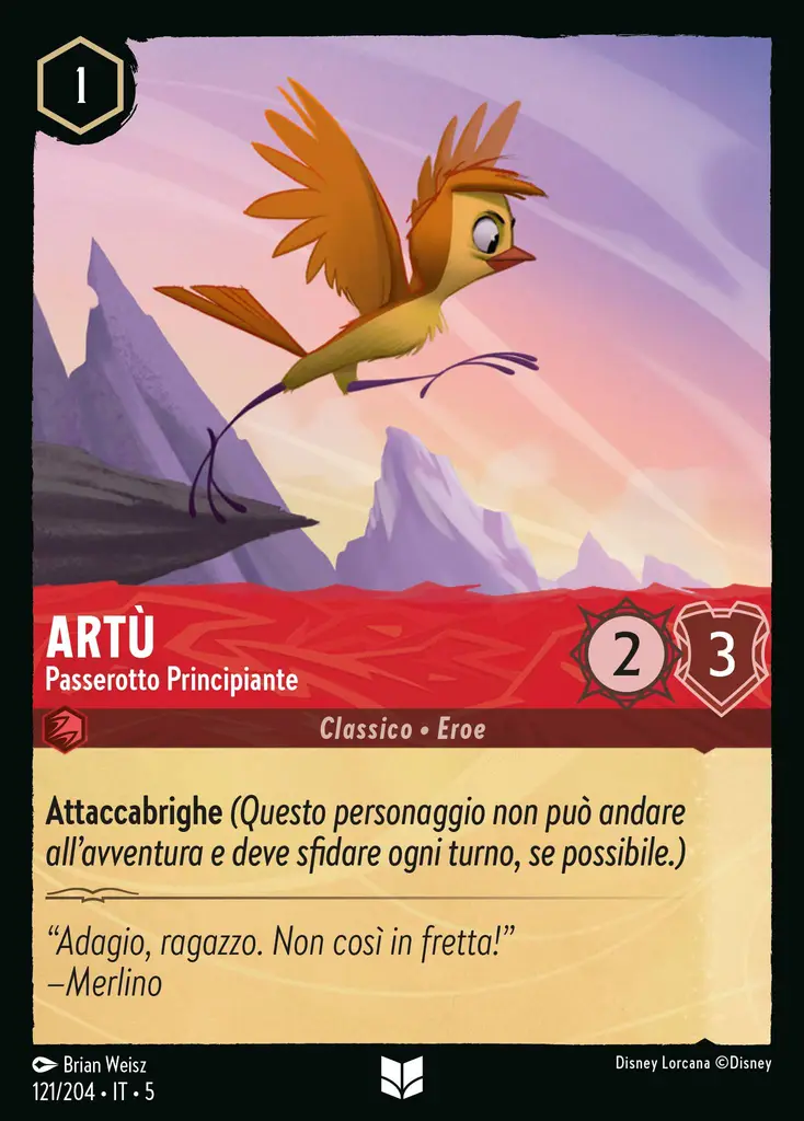 Artù - Passerotto Principiante